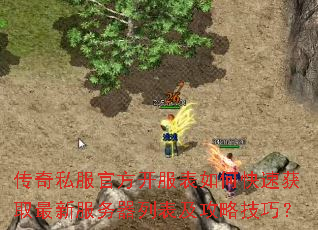 传奇私服官方开服表如何快速获取最新服务器列表及攻略技巧? 传奇私服官方开服表如何快速获取最新服务器列表及攻略技巧?