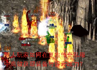 ɢ���������ڸ��Ŵ���˽���и�Ч��ȡװ��������ս����