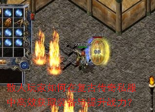 ɢ���������ڸ��Ŵ���˽���и�Ч��ȡװ��������ս����