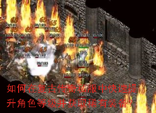 如何在复古传奇私服中快速提升角色等级并获取稀有装备? 如何在复古传奇私服中快速提升角色等级并获取稀有装备?
