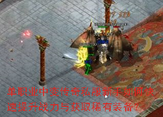 单职业中变传奇私服新手如何快速提升战力与获取稀有装备? 单职业中变传奇私服新手如何快速提升战力与获取稀有装备?