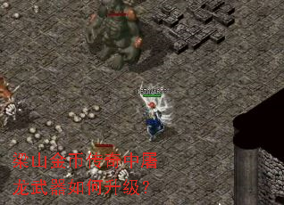 梁山金币传奇中屠龙武器如何升级? 梁山金币传奇中屠龙武器如何升级?