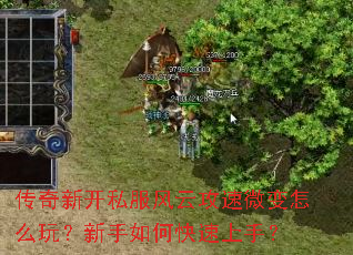 �����¿�˽�����ƹ���΢����ô�棿������ο������֣�