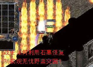 սʿ�������ʯĹ�ָ���ʵ������Ұ��ͻΧ��