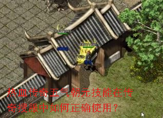��Ѫ����������Ԫ�����ڴ����ѷ��������ȷʹ�ã�