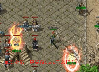 ��ְҵ��һɭ����boss��ô��