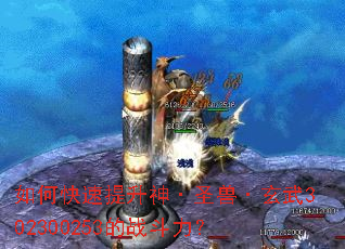 ��ο���������ʥ�ޡ�����302300253��ս������