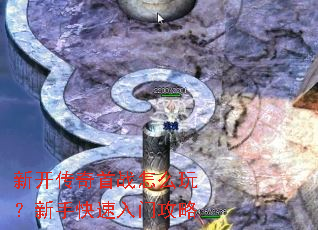 �¿�������ս��ô�棿���ֿ������Ź���