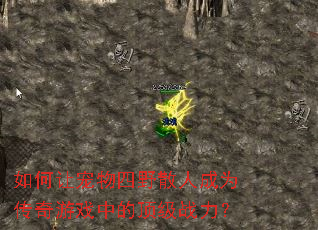 如何让宠物四野散人成为传奇游戏中的顶级战力? 如何让宠物四野散人成为传奇游戏中的顶级战力?