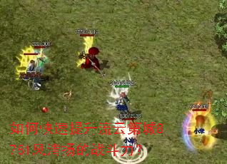如何快速提升流云第城8781风清扬的战斗力? 如何快速提升流云第城8781风清扬的战斗力?