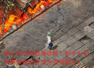 胡小伟传奇新服攻略?新手小白如何快速进阶成为游戏霸主? 胡小伟传奇新服攻略?新手小白如何快速进阶成为游戏霸主?