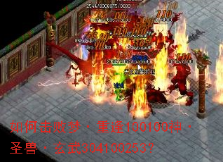 如何击败梦·重逢100100神·圣兽·玄武304100253? 如何击败梦·重逢100100神·圣兽·玄武304100253?