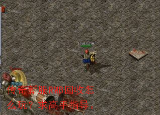 传奇新服RMB回收怎么玩?求高手指导。 传奇新服RMB回收怎么玩?求高手指导。