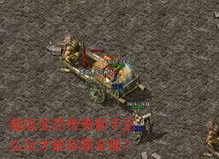 超级变态传奇新手怎么玩才能称霸全服? 超级变态传奇新手怎么玩才能称霸全服?