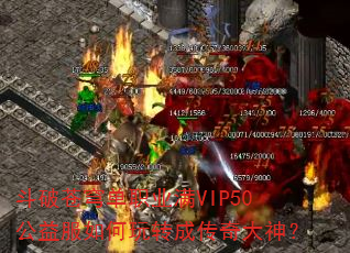 ���Ʋ�񷵥ְҵ��VIP50����������ת�ɴ������