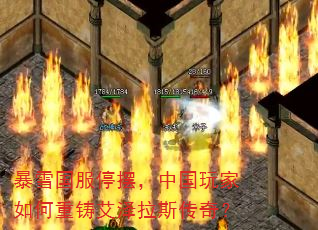 ��ѩ����ͣ�ڣ��й�����������������˹���棿