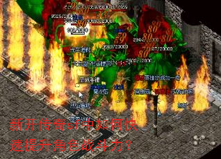 �¿�����sf����ο���������ɫս������