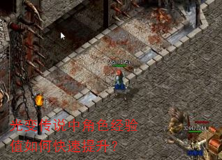 ��䴫˵�н�ɫ����ֵ��ο���������