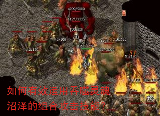�����Ч������������������Ϲ������ܣ�