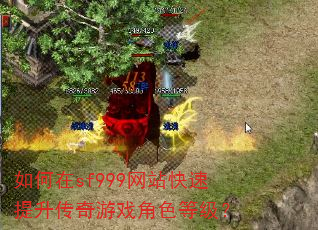 �����sf999��վ��������������Ϸ��ɫ�ȼ���