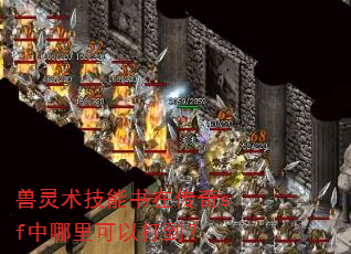 兽灵术技能书在传奇sf中哪里可以打到? 兽灵术技能书在传奇sf中哪里可以打到?