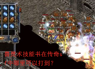 兽灵术技能书在传奇sf中哪里可以打到? 兽灵术技能书在传奇sf中哪里可以打到?