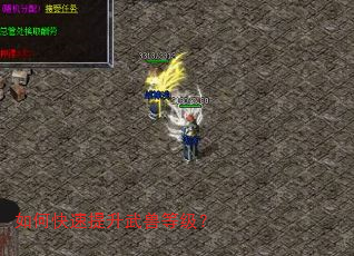 如何快速提升武兽等级? 如何快速提升武兽等级?