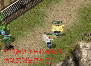 ���ͨ�����봫��˽���ʵ������Ϊ����