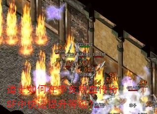 道士如何在辛亥热血传奇SF中快速提升等级? 道士如何在辛亥热血传奇SF中快速提升等级?