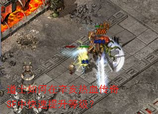 道士如何在辛亥热血传奇SF中快速提升等级? 道士如何在辛亥热血传奇SF中快速提升等级?
