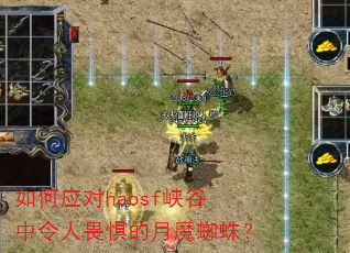 ���Ӧ��haosfϿ��������η�����ħ֩�룿