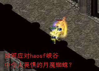 ���Ӧ��haosfϿ��������η�����ħ֩�룿