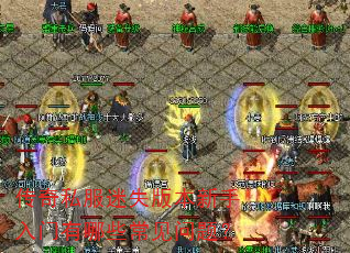 ����˽����ʧ�汾������������Щ�������⣿