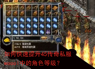 如何快速提升45传奇私服woool中的角色等级? 如何快速提升45传奇私服woool中的角色等级?