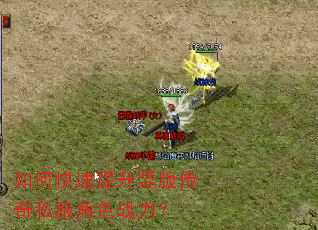 ��ο����������洫��˽����ɫս����