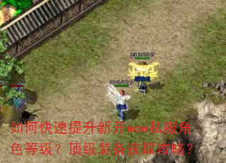 如何快速提升新开wow私服角色等级?顶级装备获取攻略? 如何快速提升新开wow私服角色等级?顶级装备获取攻略?