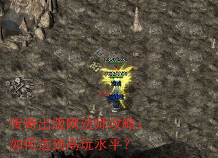 �����������ʦ���ԣ���δﵽ����ˮƽ��
