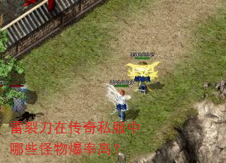 ���ѵ��ڴ���˽������Щ���ﱬ�ʸߣ�