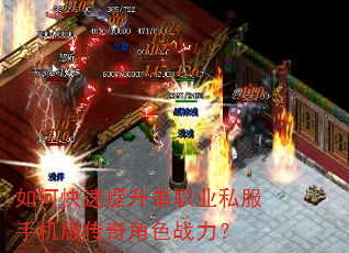 ��ο���������ְҵ˽���ֻ��洫���ɫս����