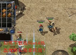 ��������ҽ�mt4��Ѫ����˽�������棿
