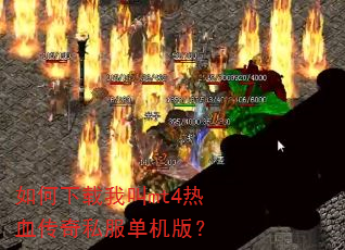��������ҽ�mt4��Ѫ����˽�������棿