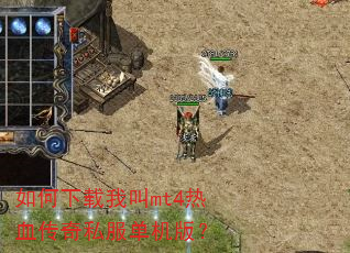 ��������ҽ�mt4��Ѫ����˽�������棿