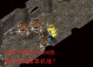 ��������ҽ�mt4��Ѫ����˽�������棿