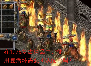 ��1.76���ž�Ʒ�У�ʹ�ø����Ҫ�Ŷ������