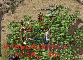 热血传奇私服现在还有玩家吗?如何快速上手攻略?