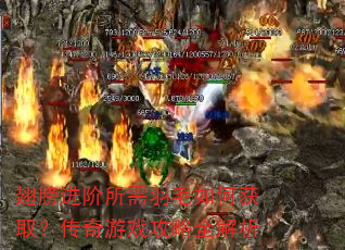 ������������ë��λ�ȡ��������Ϸ����ȫ����