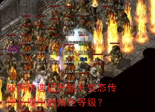 如何快速提升新开变态传奇私服中的角色等级? 如何快速提升新开变态传奇私服中的角色等级?