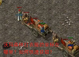 ����ɭ�ִ��·��������������ο��ٻ�ȡ��