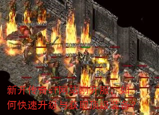�¿�����sf��վ�տ�������ο����������ȡ����װ����