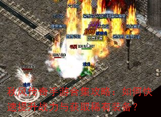 ��紫�����κϼ����ԣ���ο�������ս�����ȡϡ��װ����